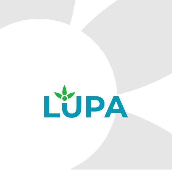 Lupa(위치기반 매물 거래 어플리케이션 – 자체 개발 프로젝트)